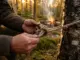 Bushcraft för nybörjare: Grundläggande knopar och säker eldlagning i naturen