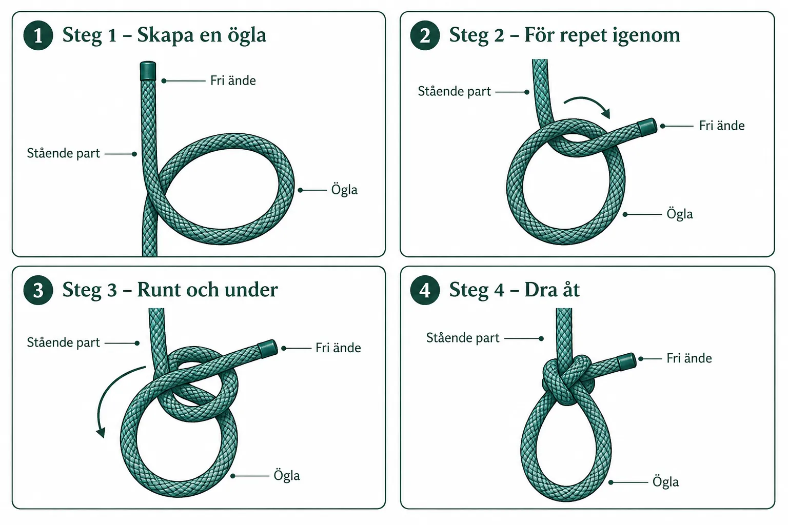 Bushcraft för nybörjare: Grundläggande knopar och säker eldlagning i naturen 1 Hur binder man en säker pålstek steg för steg?