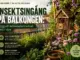 Insektsingång på balkongen: Bygg ett mikronaturreservat mitt i stan