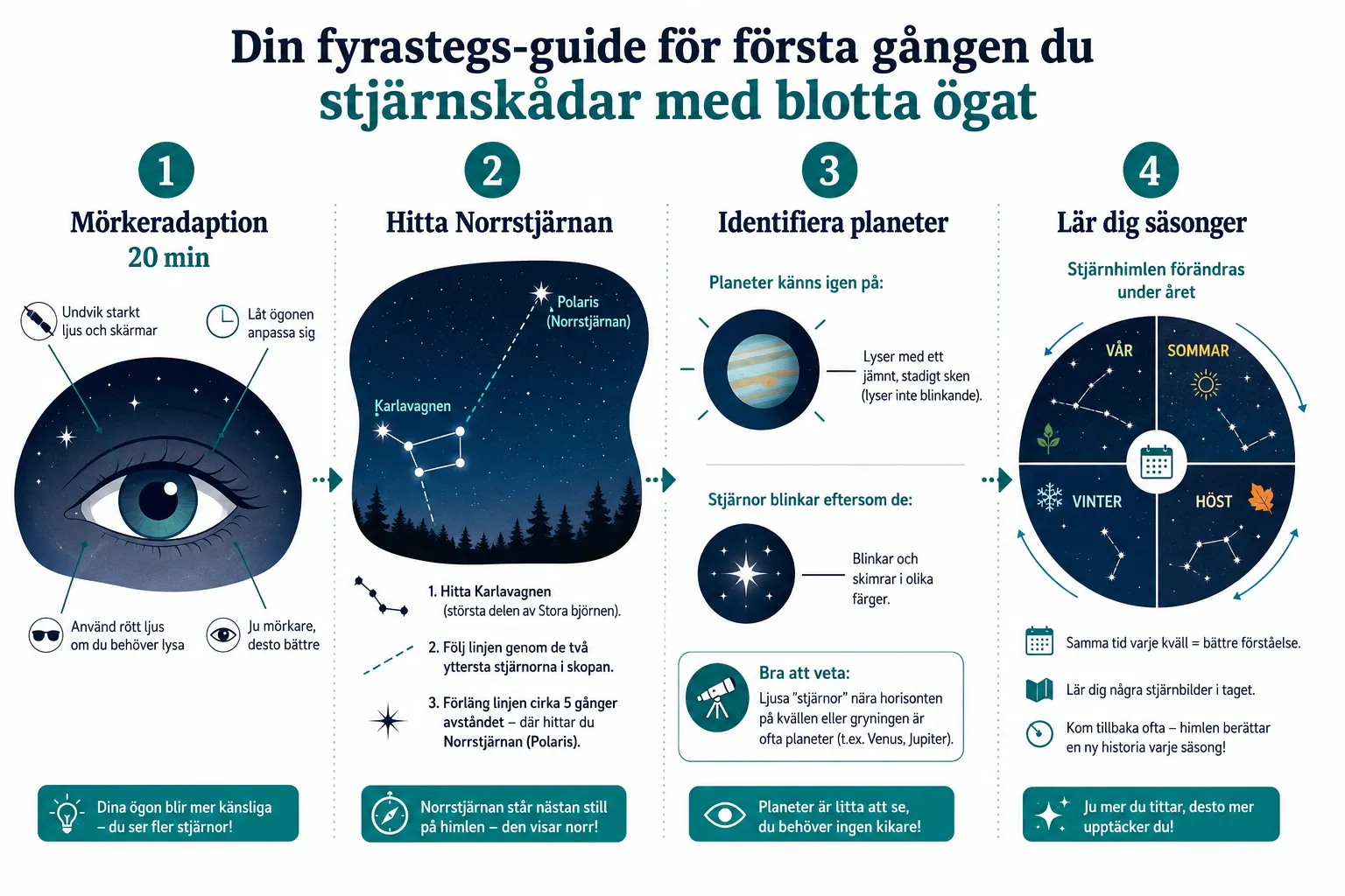 Stjärnskådning utan teleskop: Hitta stjärnbilder och planeter med blotta ögat 1 Vilka stjärnbilder är lättast att se med blotta ögat